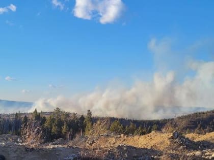 Мощный пожар бушует в лесах под Читой