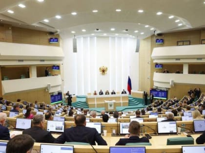 Совет Федерации одобрил законопроект против пропаганды отказа от деторождения