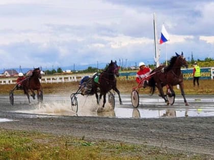 Межрегиональные конноспортивные соревнования прошли в Чите