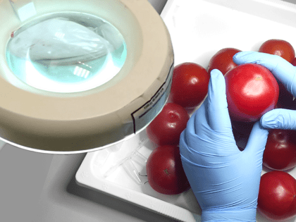 Зараженные карантинным вирусом импортные овощи не допустили к ввозу в Россию после исследований в лаборатории Забайкальского филиала