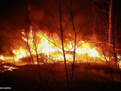 Два больших пожара произошли в Чите за сутки
