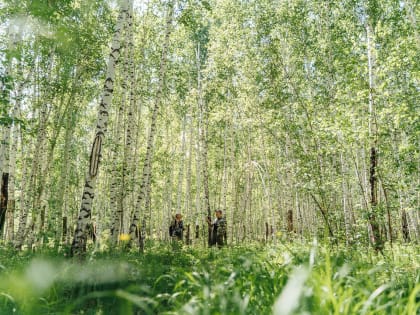 Брат Куркина объявил вознаграждение в 100 тысяч рублей тому, кто найдет пропавшего