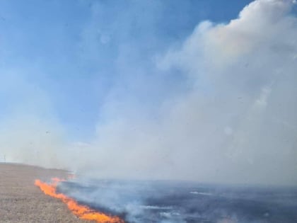 ЧТОБЫ НЕ БЫЛО БЕДЫ