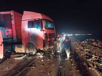 Семья из Забайкалья насмерть разбилась в ДТП с фурой под Ростовом