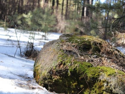 В Забайкалье пришла весна - ожидается до пяти градусов тепла