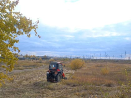 Обновление минполос и скос травы