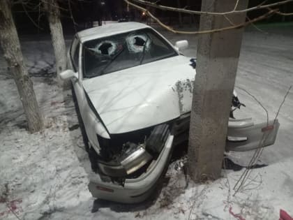 Пьяный водитель Toyota Vista врезался в столб в Борзе