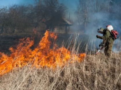 Дождевой циклон лишь ненадолго снизит пожарную опасность в лесах Забайкалья