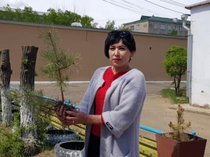 Коллектив Борзинской ЦРБ высадил деревья на территории больницы