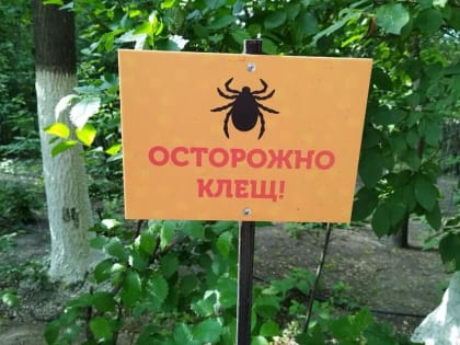 Клещи с начала года покусали более 60 человек
