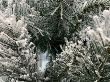 8 января в Чите ожидается до 9 градусов мороза