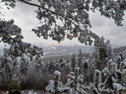 Метель, снег, ветер – о погоде 12 января в Забайкалье