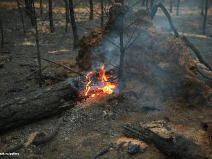 В Забайкалье ликвидировали еще один крупный лесной пожар