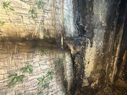 Трёх жильцов дома в Краснокаменске эвакуировали из-за загоревшегося холодильника