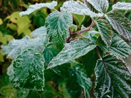 Непогода в Забайкалье: дождь и мокрый снег