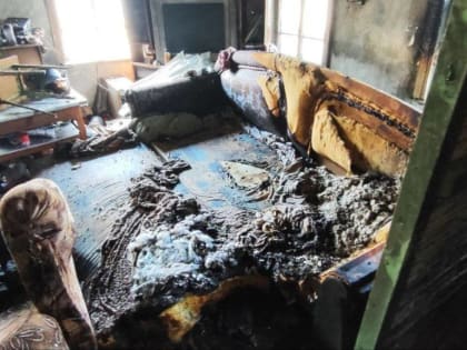 Кошка устроила пожар в квартире в Нерчинске