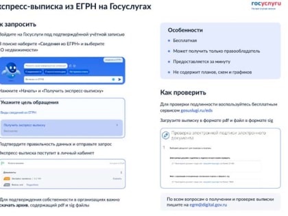 Новый порядок получения сведений из ЕГРН с 1 марта 2023