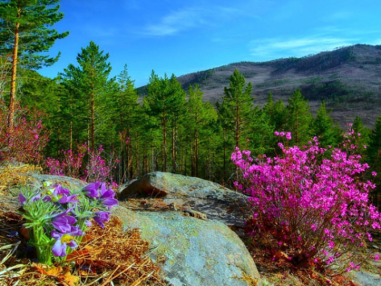 У ЗАБАЙКАЛЬЯ ЮБИЛЕЙ!