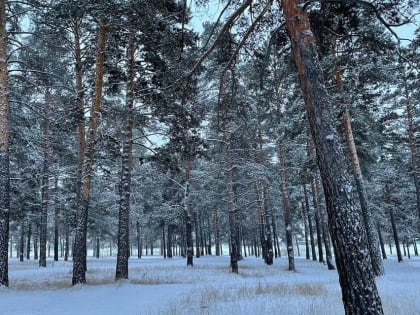 Утром 16 января по Забайкалью ударят морозы до 45 градусов