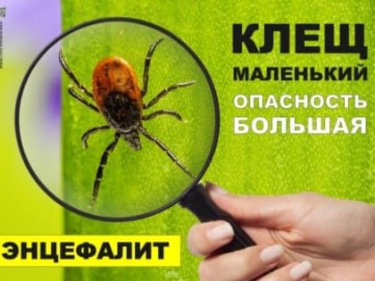 О ситуации по клещевым инфекциям на территории Петровск-Забайкальского района по состоянию на 01.07.2024