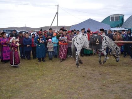 Минсельхоз РФ даст 10 миллионов рублей на агротуризм в одном из КФХ Забайкалья