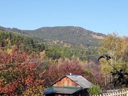 «Есть ли у вас дача» - новый опрос от ZAB.RU