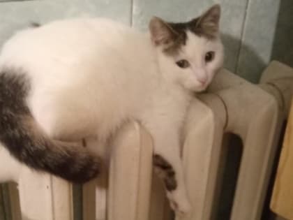 С 1 марта можно будет сэкономить на услугах ЖКХ
