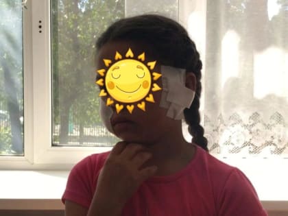 Стая собак напала на девочку в районе Острова в Чите