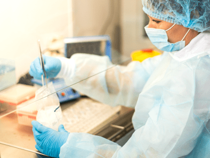 Карантинных вредителей в импортных киви, манго и перце выявили специалисты Забайкальского филиала