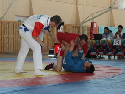 В Чите пройдет турнир по самбо на призы «Единой России»