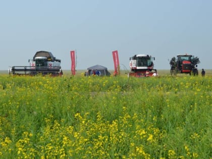 Краевой День поля пройдет в Приаргунском округе