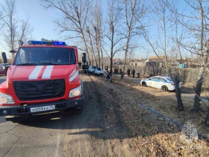 Спасатели достали двух человек из влетевшей в дерево иномарки в Чите