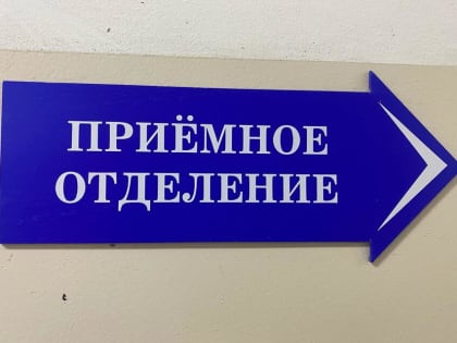 Сотрудничество Забайкалья и Монголии в образовании и здравоохранении