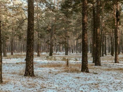 В ночь на 7 января по Забайкалью ожидается до 37 градусов мороза