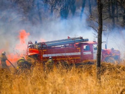 В Забайкалье с начала апреля нашли 16 поджигателей природы