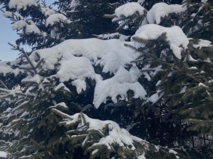 Снег прекратит идти в Забайкалье