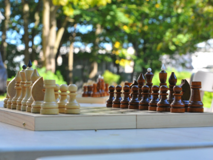 “ЛЕТНЯЯ ШКОЛА” Федерации шахмат!