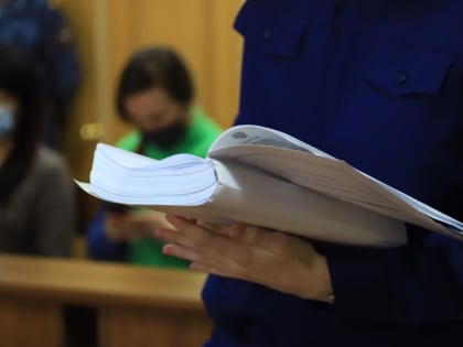 Экс-гендиректор предприятия в Забайкалье скрыл от налоговой более 4 млн рублей