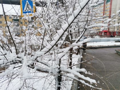 Снегопад ожидается в Забайкалье 11-12 января