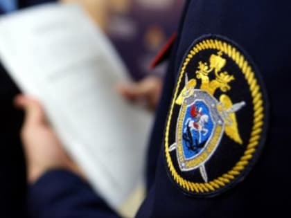 СК заинтересовался замерзающими в холодных квартирах жителями Борзи