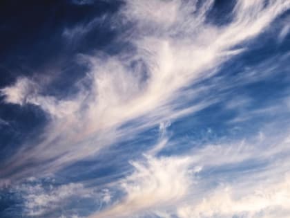 Ветер усилится до 20 м/с в Забайкалье 22 апреля