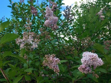 Непогода уходит из Забайкалья