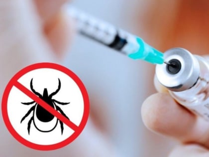 Инфекционисты: К сезону активности клещей нужно готовиться заранее