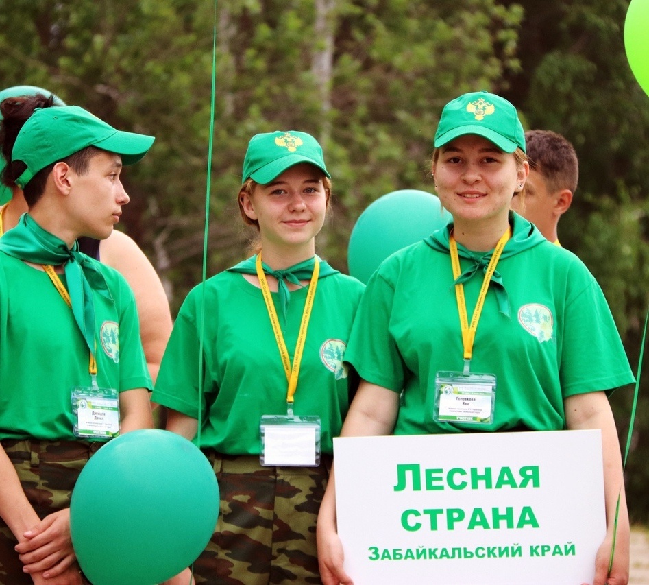 Лесная страна. Лесная Страна Ижевск. Лагерь Лесная Страна. Смотр школьных лесничеств.