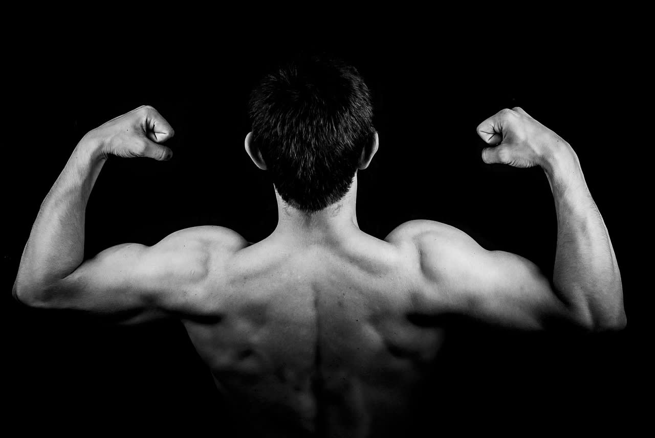 back and bicep workout