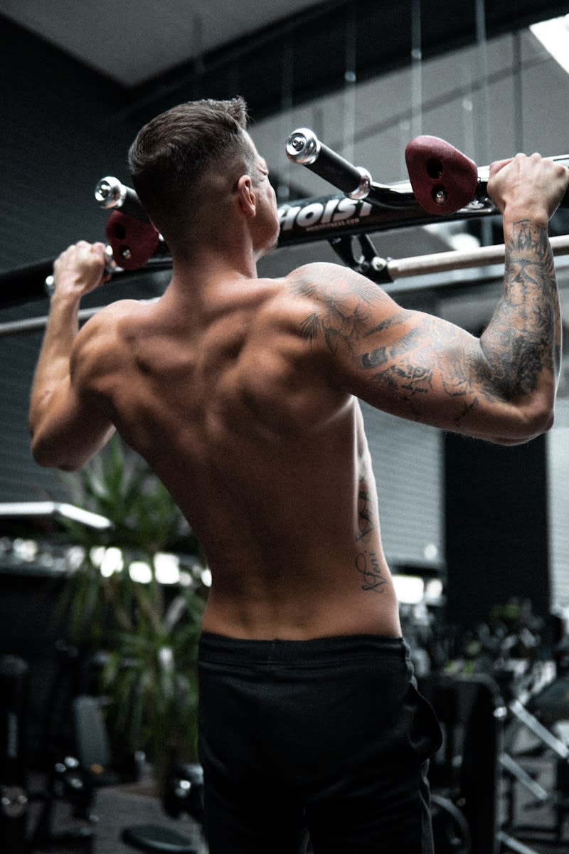 Back Workouts