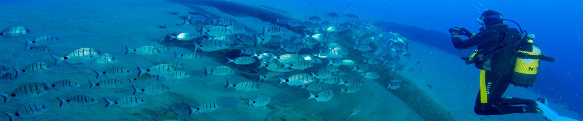 Scuba Diving In Lanzarote The Home Of Free Nitrox