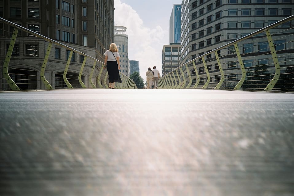 Bridge Perspective