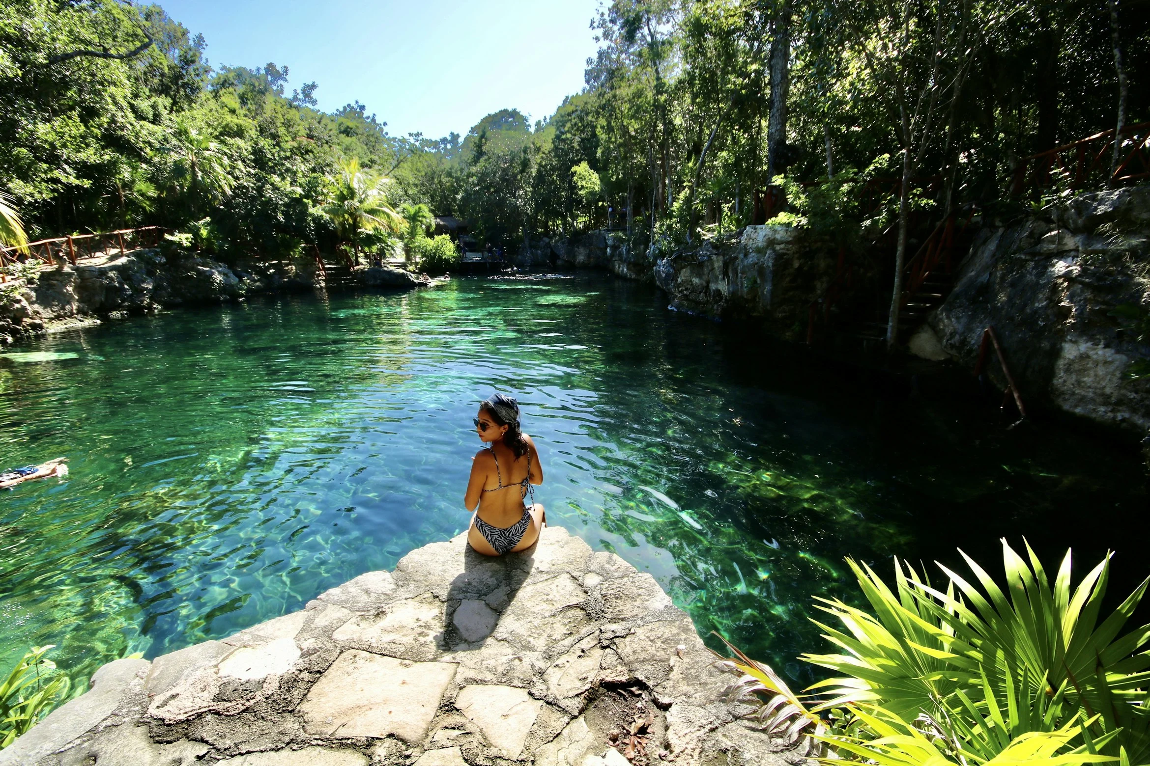 Cenote tortuga TULUM Quintana Roo, Caribe México