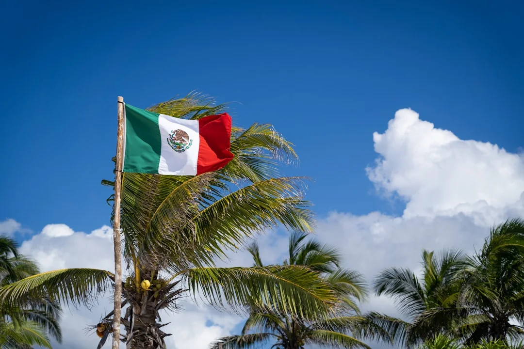a flag on a pole